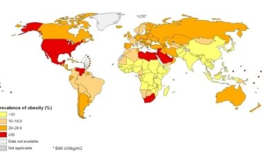 world obesity rates