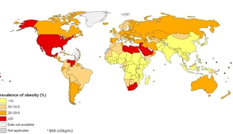 world obesity rates